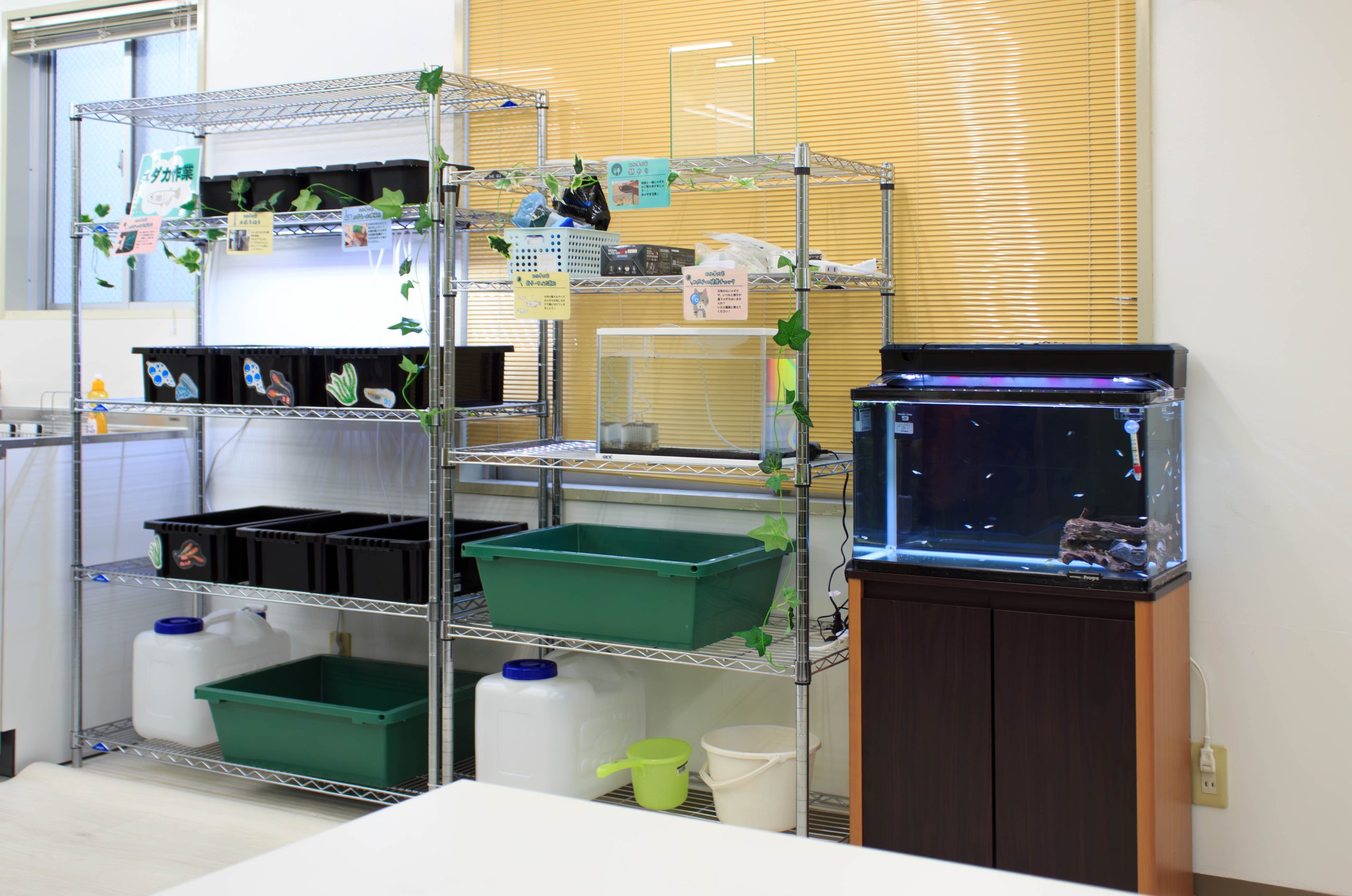 IMG_9558 - コピー