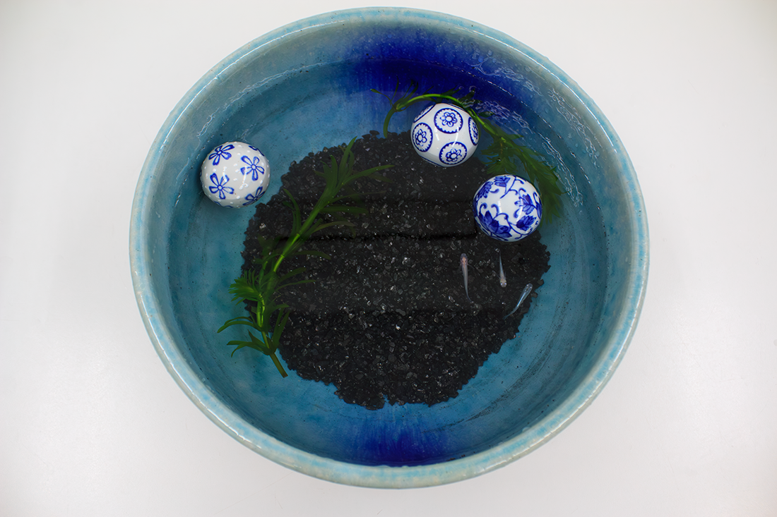 ひと庭の京スタンダード1