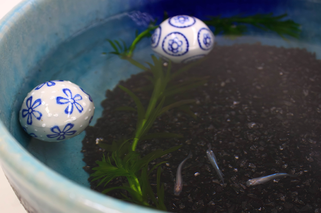 ひと庭の京スタンダード2