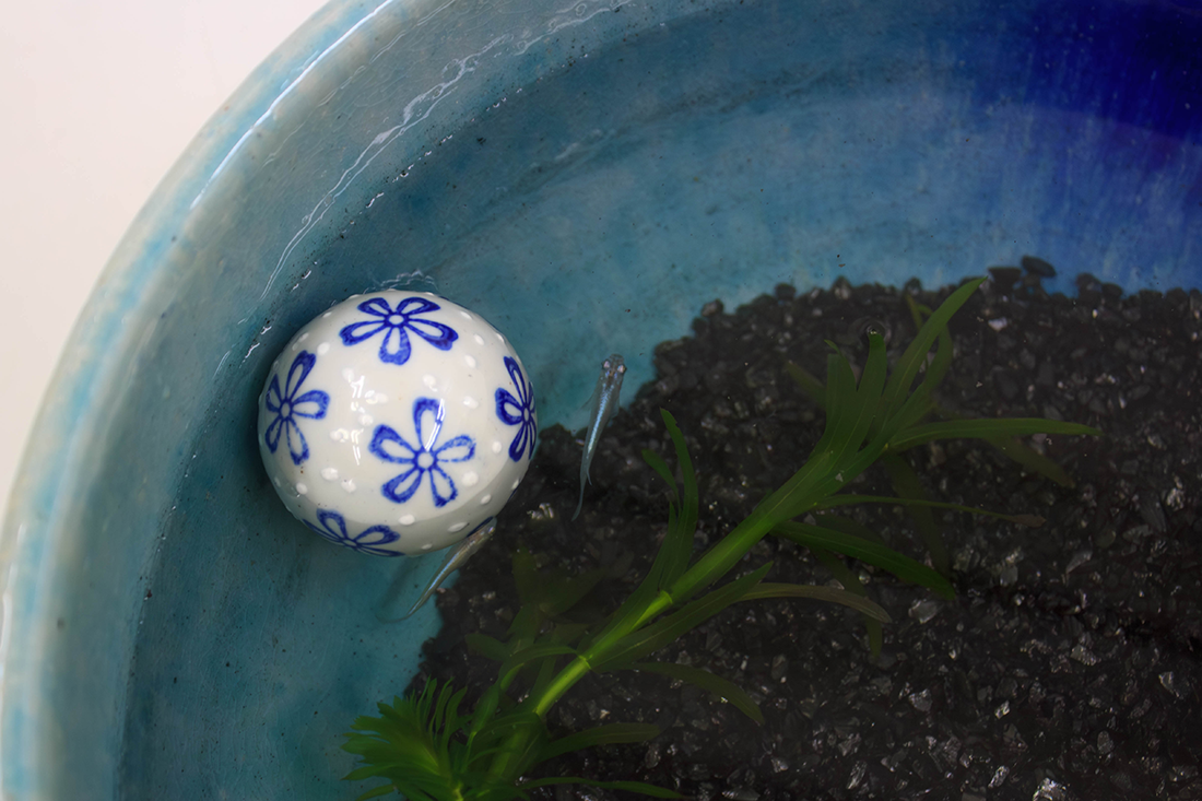 ひと庭の京スタンダード3