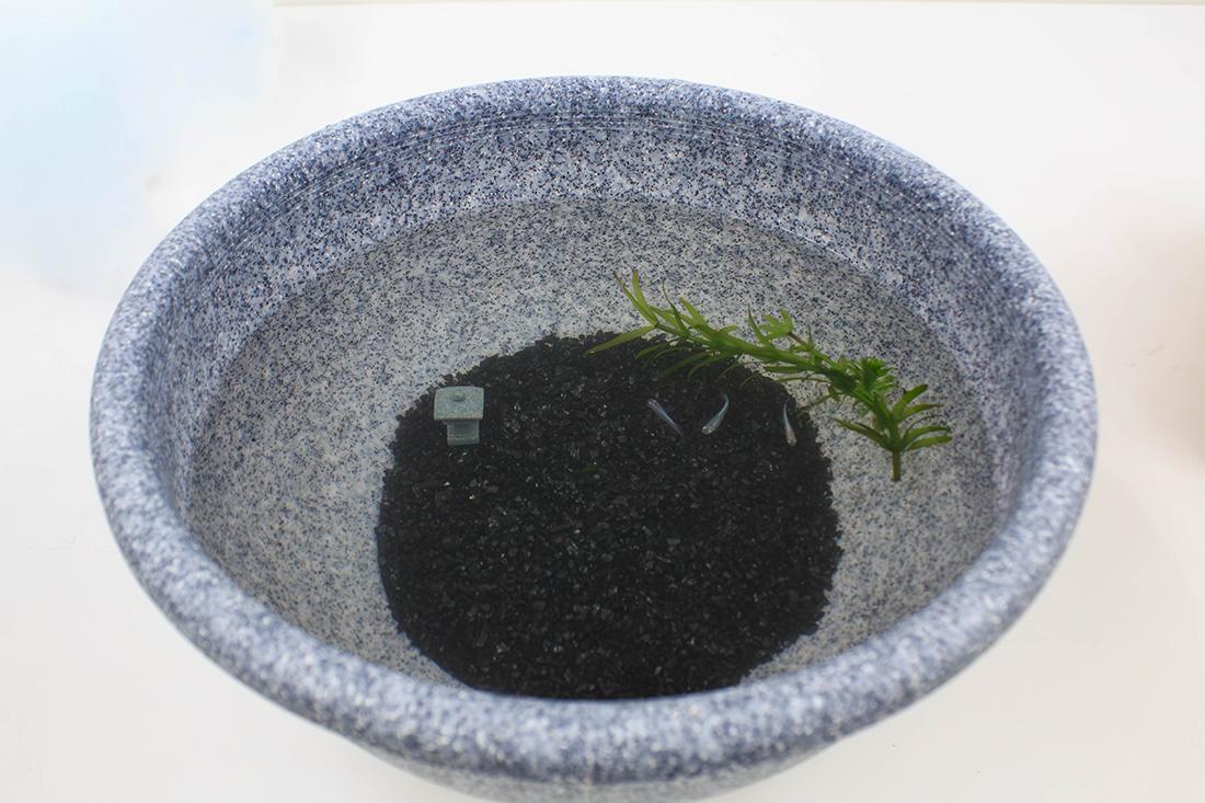 ひと庭の京スターター1