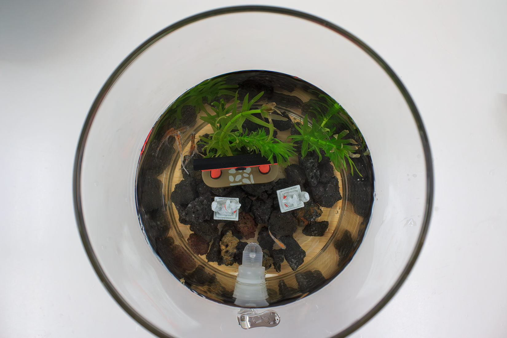 硝子の箱庭スタンダード2