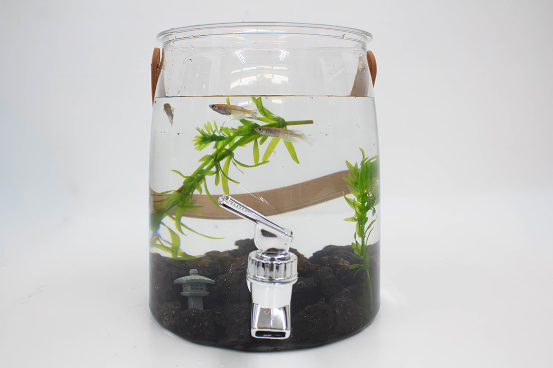 硝子の箱庭スターター1