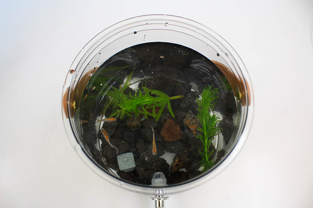 硝子の箱庭スターター2