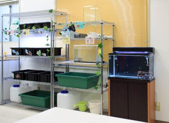 IMG_9558 - コピー